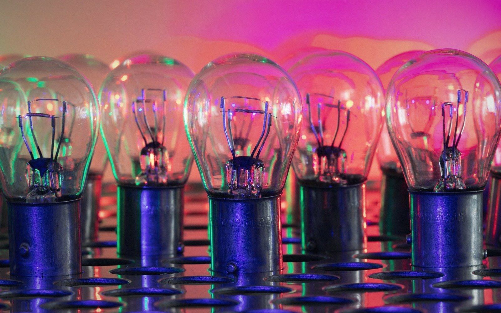 Rows of unlit incandescent bulbs with visible filaments, bathed in pink and green light